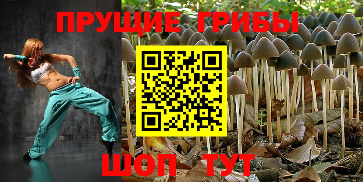 Изобильный  Псилоцибиновые грибы мицелий  Вход с VPN 